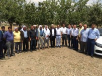 ALATOSUN - AK Parti Bağlar Teşkilatı Köylere Çıkarma Yapmaya Devam Ediyor
