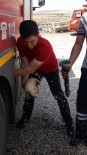 İTFAİYECİLER - Boruya Sıkışan Köpeği İtfaiye Ekipleri Kurtardı