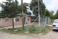 BEYKÖY - Düzce'de Orman Emvali Depolarında Çevre Düzenlemesi Devam Ediyor