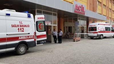 Erzincan'da Ayının Saldırısına Uğrayan Çocuk Yaralandı