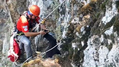 Muğla'da Kayalıklarda Mahsur Kalan Oğlak Kurtarıldı