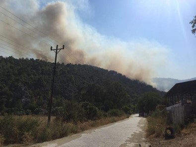 Muğla'da Orman Yangını Kontrol Altına Alındı