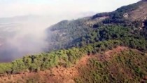 DEREKÖY - Muğla'nın Ortaca İlçesinde Orman Yangını Başladı