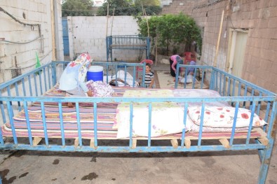 Şanlıurfalılar'ın Vazgeçilmezi 'Dampalas'