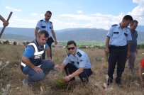 ORMAN İŞLETME MÜDÜRÜ - Kargı'da 15 Temmuz Şehitleri İçin 250 Fidan Dikildi