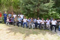 ORMAN İŞLETME MÜDÜRÜ - Kargı'da Şehitlikler Ziyaret Edildi