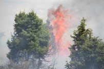 İNCIRLIK - Konya'da Orman Yangını