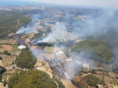 Manavgat'ta Orman Yangını