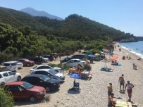 DİLEK YARIMADASI - Milli Parka Ziyaretçi Akını