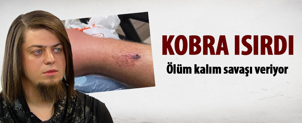 Aref'i kobra ısırdı!