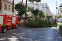 GAZI BULVARı - Aydın'da Facia Ucuz Atlatıldı