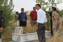 Bismil'de 15 Temmuz Etkinlikleri