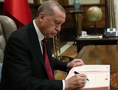 Başkan Erdoğan Danıştay üyelerini seçti