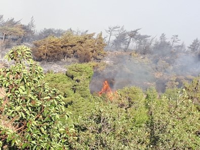 Hatay'da Orman Yangınında Soğutma Çalışmaları Başladı