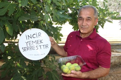 (Özel) İncirlerinden Kimse Yemeyince Bahçesine Tabela Astı