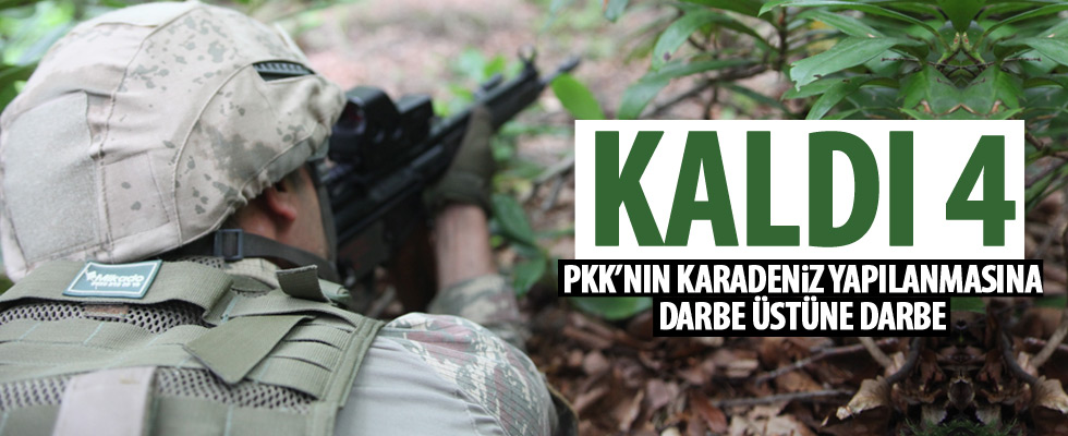 Karadeniz'de terör operasyonları sürüyor