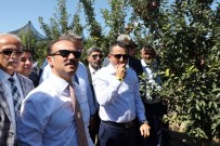 Bakan Pakdemirli, Yozgat'ta Meyve Bahçesini Gezdi Haberi