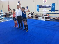 UĞUR KURAL - Bitlis'in Kickboks Ve Muaythai'deki Başarısı