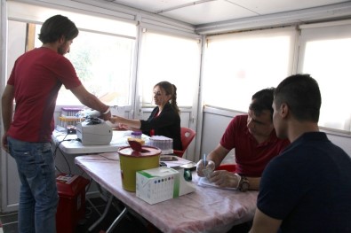 Ceylanpınar'da Kan Bağışına Yoğun İlgi