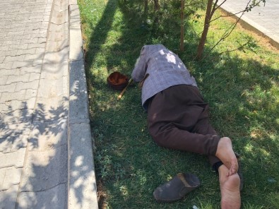 Diyarbakır'da Sıcaklardan Bunalan Yaşlı Adam Refüje Yattı