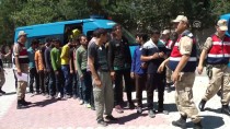 KAÇAK GÖÇMEN - Erzincan'da 33 Kaçak Göçmen Yakalandı