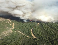 İzmir'deki Orman Yangını Kontrol Altına Alındı
