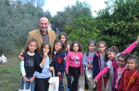 TÜRK PATENT ENSTİTÜSÜ - Mandalina Artık 'Resmen' Seferihisarlı