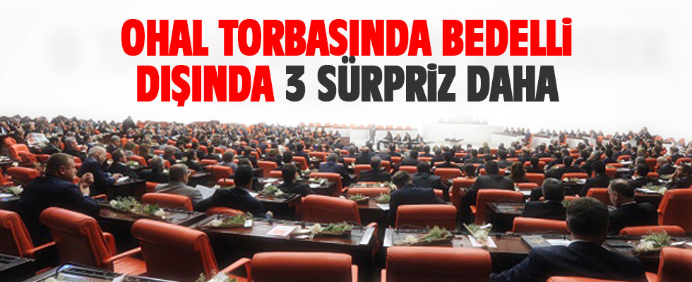 OHAL torbasında bedelli dışında 3 sürpriz daha!