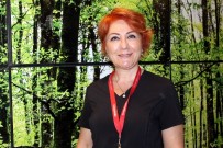 MEMORIAL - Plastik Kapların Altındaki Rakamlara Dikkat