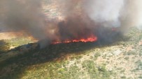 Seydikemer'de Orman Yangını Kontrol Altına Alındı