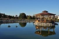 BİLİMSEL ARAŞTIRMA - Üniversitenin Saklı İncisi Arboretum Park Göleti