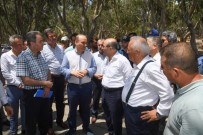 ARITMA TESİSİ - Vali Demirtaş Karataş'ta Yapılan Arıtma Tesisini İnceledi