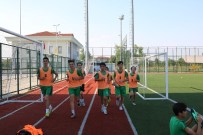 SAKARYASPOR - Altyapı Takımları Geleceğe Hazırlanıyor