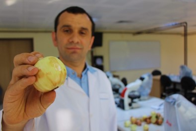 Bu Yaza Damgasını Vuran Soğan Tam Bir Şifa Deposu