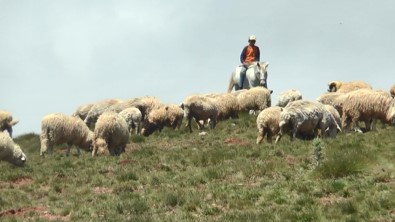 Çobanın Umudu 'Kurban Bayramı'