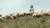 Çobanın Umudu 'Kurban Bayramı' Haberi