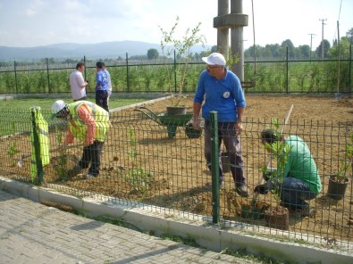 Kartepe Belediyesi Aralıksız Çalışıyor