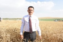 ELEKTRONİK ÜRÜN - Tarım Bakanı Pakdemirli Açıklaması 'Fiyatlar Üreticimizi Memnun Ediyor'