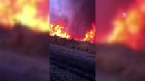 Bodrum'da Makilik Alanda Çıkan Yangın Söndürüldü