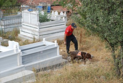 Evrim'i, Kadavra Köpeği Mavi Mezarlıkta Aradı
