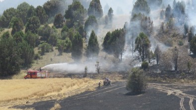 Konya'da Ormanlık Alana Sıçrayan Yangın