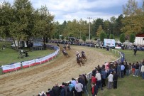 AT YARIŞI - Sapanca' Da Mahalli At Yarışları 28 Temmuz'da Gerçekleşecek