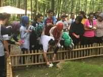 YABAN ÖRDEĞİ - Cemil Meriç Öğrencileri Ormanya'yı Gezdi