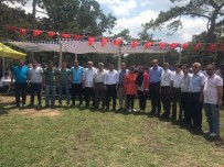 FATIH KıZıLTOPRAK - Ergeneli Samsunlular Piknikte Buluştu