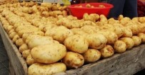PROPAGANDA - Hatay'da Patates Fiyatları Esnafı İkiye Böldü