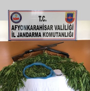 Jandarmanın Baskın Yaptığı Evden Çok Miktarda Uyuşturucu Madde Çıktı