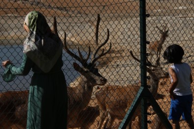 Gaziantep Hayvanat Bahçesi Rekorları Alt Üst Ediyor