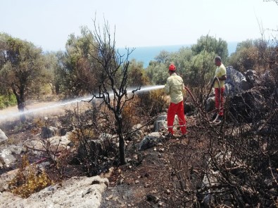 Antalya'da Antik Kent Yakınında Çıkan Yangın Korkuttu