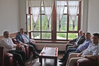 TAŞPıNAR - Araç Ve İhsangazi Arasına OSB Kurulma Çalışmaları Başladı