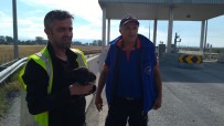 YAVRU KÖPEK - Beton Bariyerlere Sıkışan Yavru Köpekleri AFAD Kurtardı